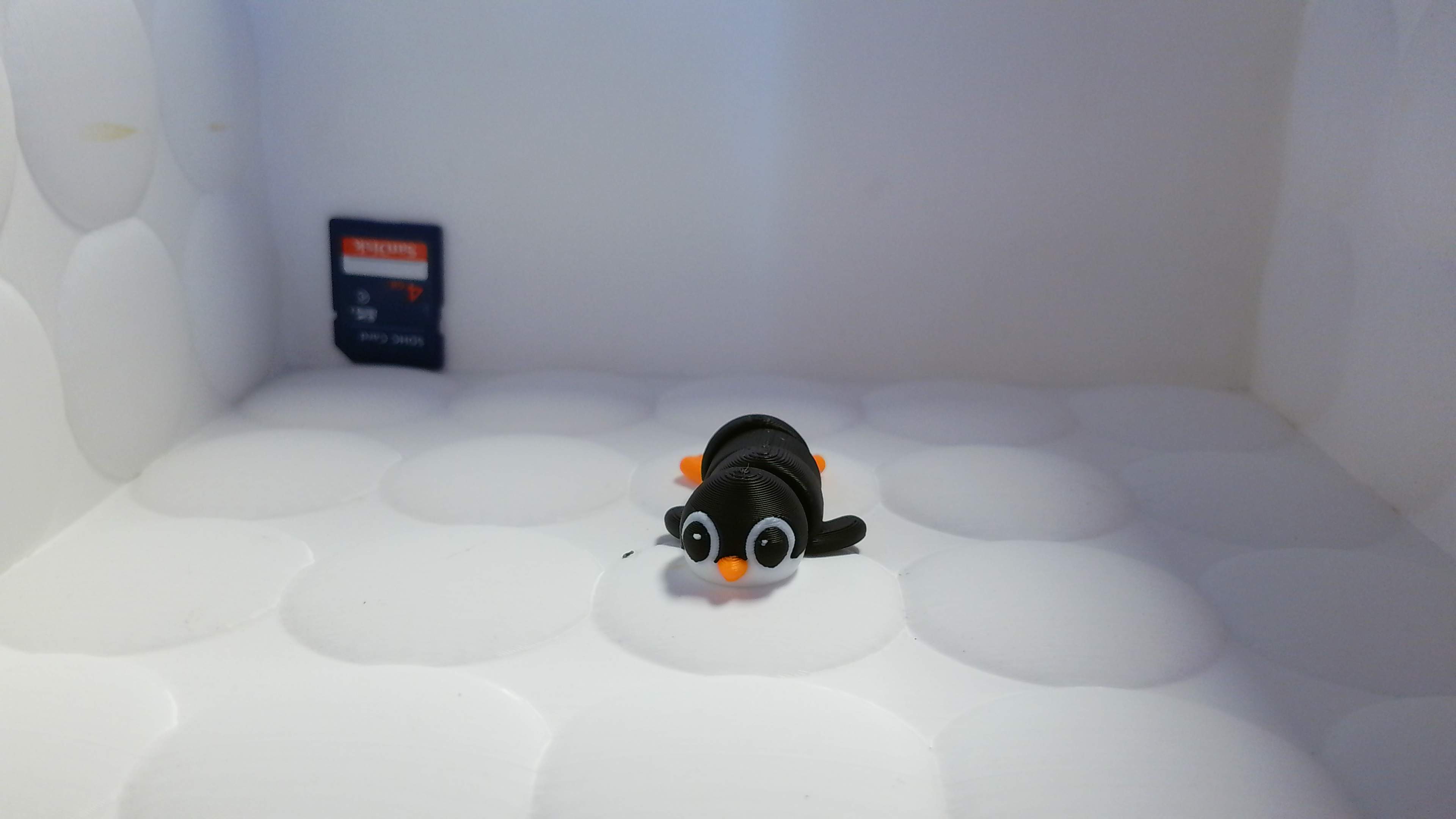 Pinguin